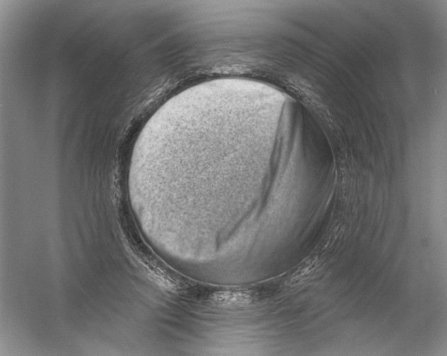 X0000056370354200509232204