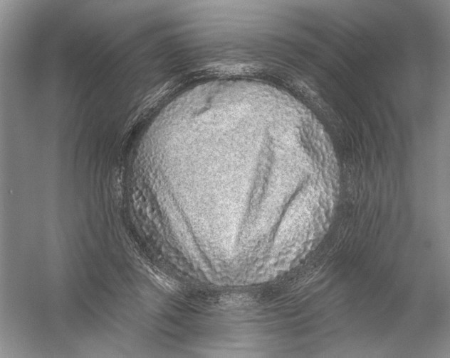 X0000056370357200509232204