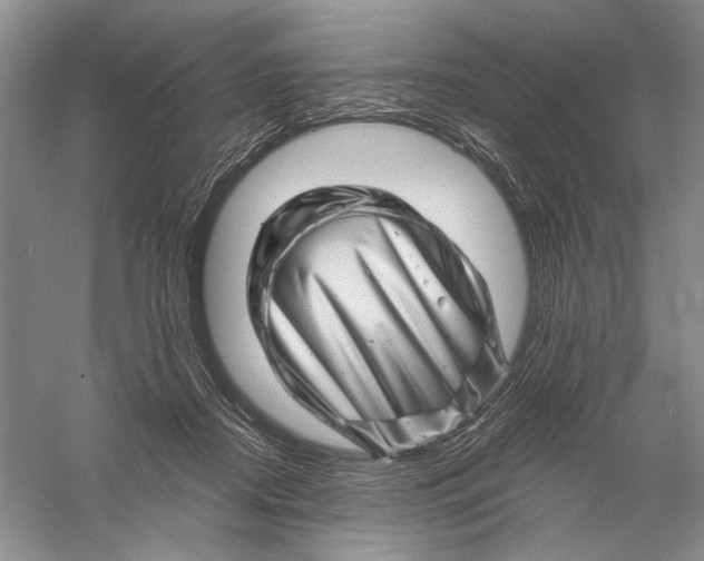 X0000056370362200509232204