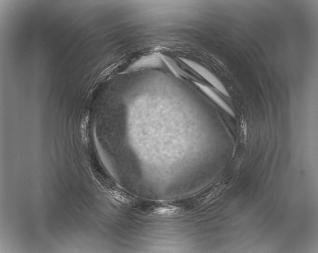 X0000056370364200509232204