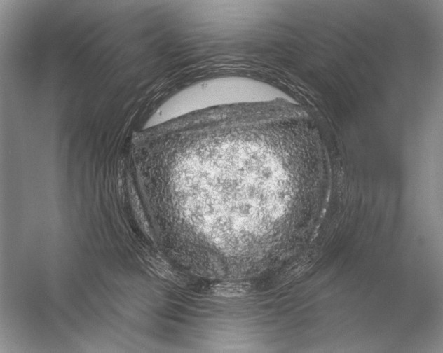 X0000056370373200509232205