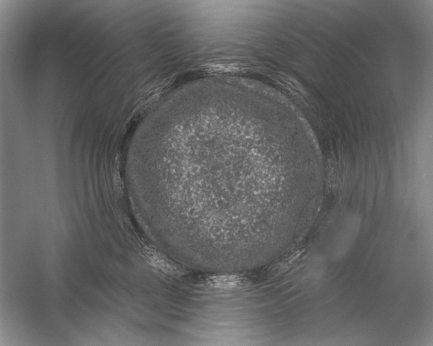 X0000056370377200509232205