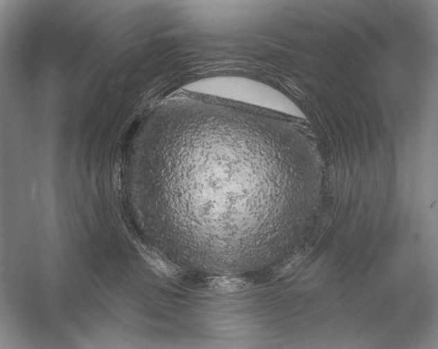 X0000056370379200509232205