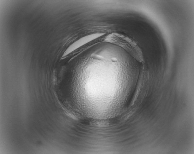 X0000056370383200509232205