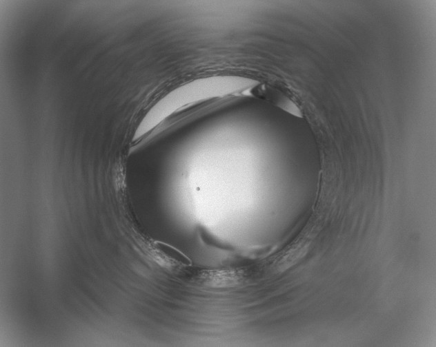 X0000056370384200509232205