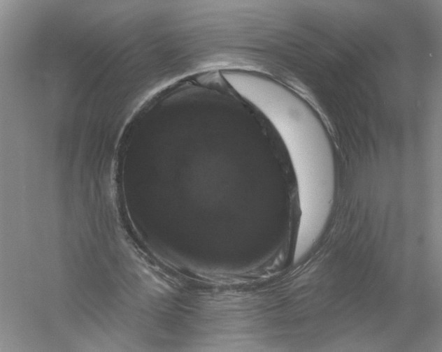X0000056370387200509232204