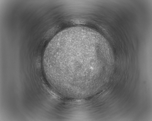 X0000056370402200509232204