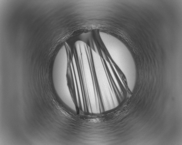 X0000056370411200509232203