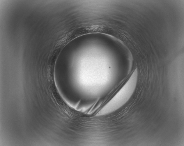 X0000056370416200509232203