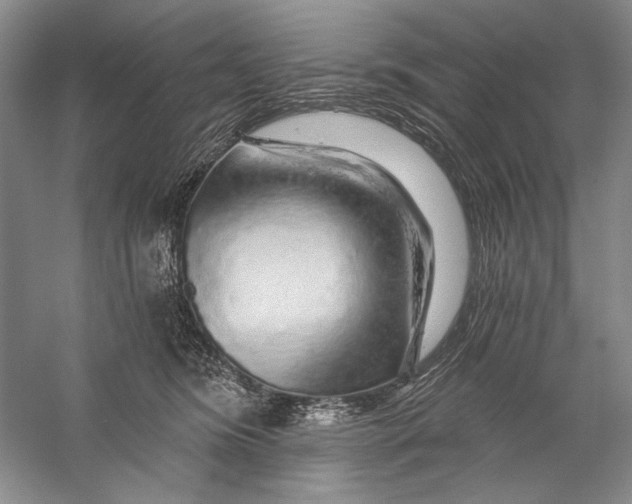 X0000056370420200509232203