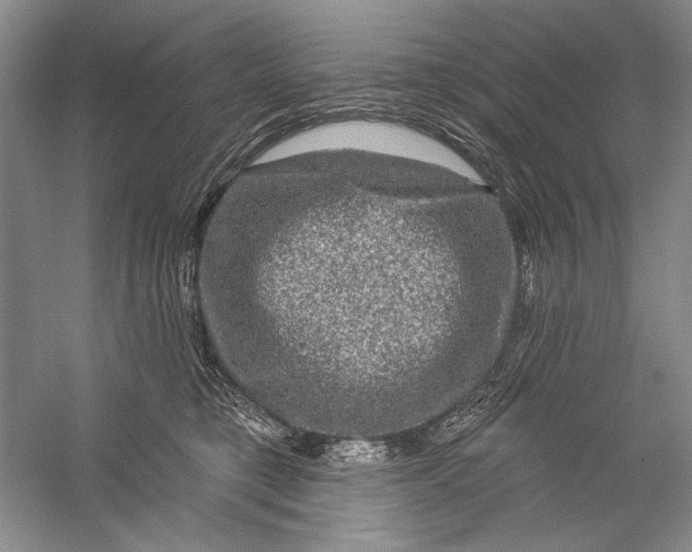 X0000056370421200509232203