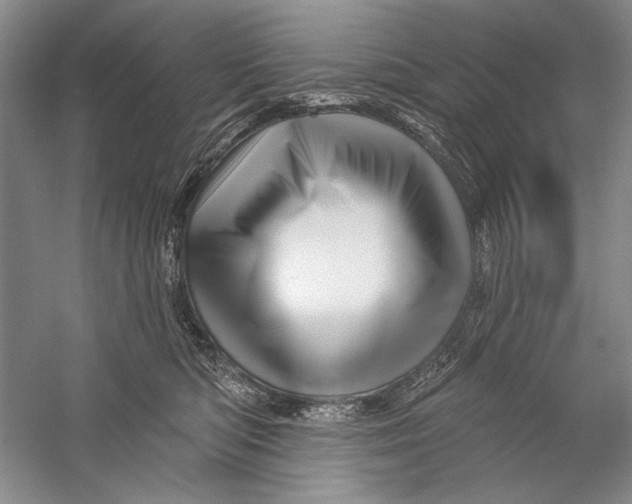 X0000056370422200509232203