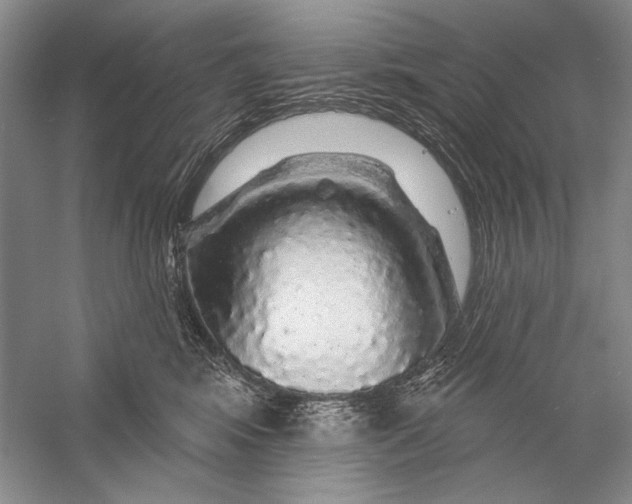 X0000056370424200509232203