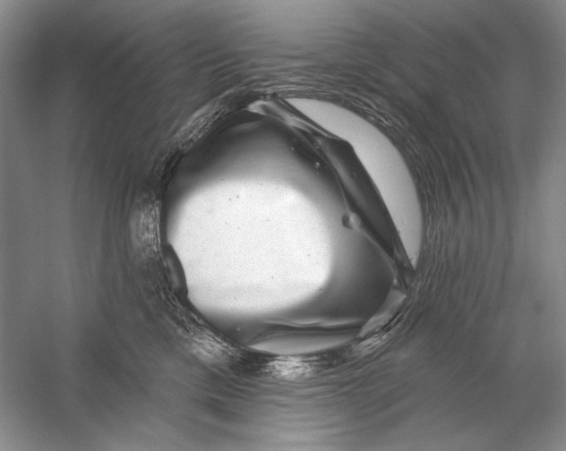 X0000056370425200509232203