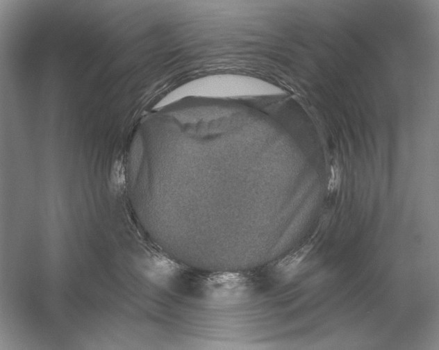 X0000056370431200509232203