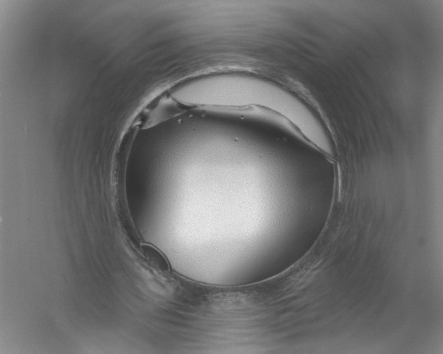 X0000056370435200509232202