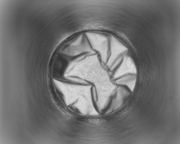 X0000056370439200509232202