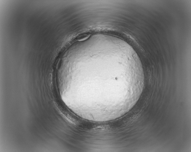 X0000056370447200509232203