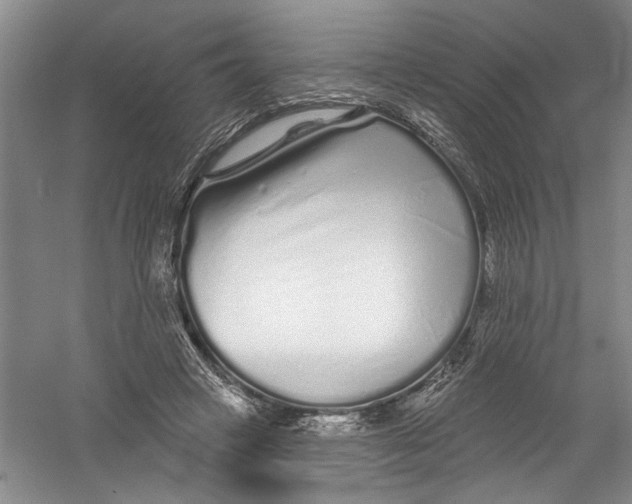 X0000056370449200509232203