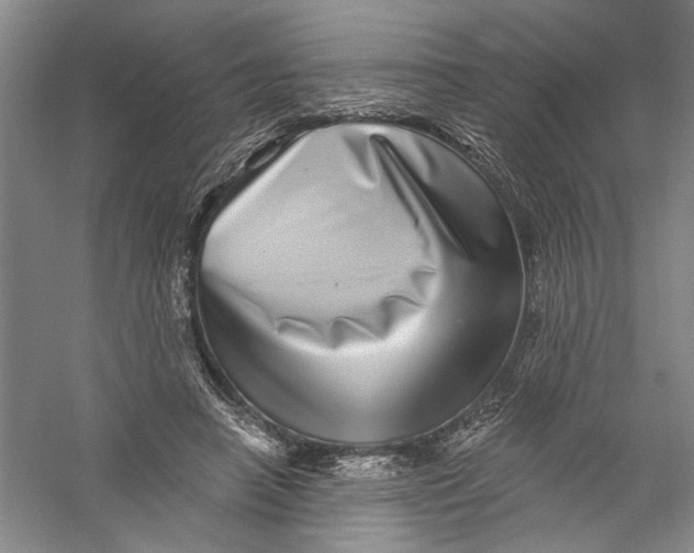 X0000056370450200509232203