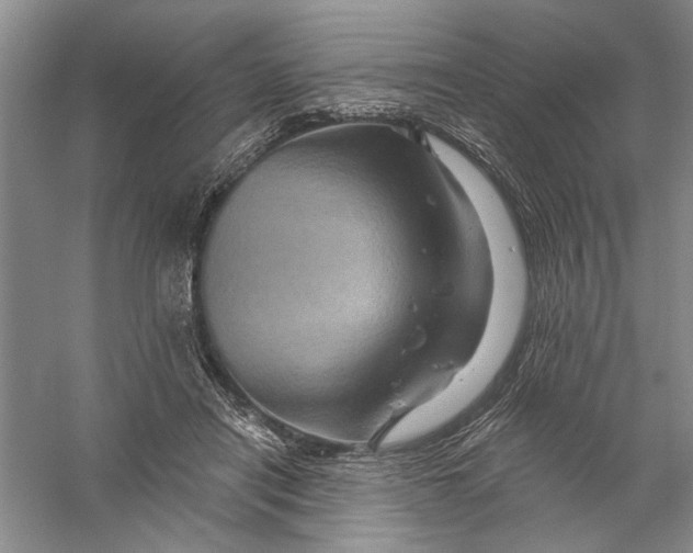 X0000056370454200509232203