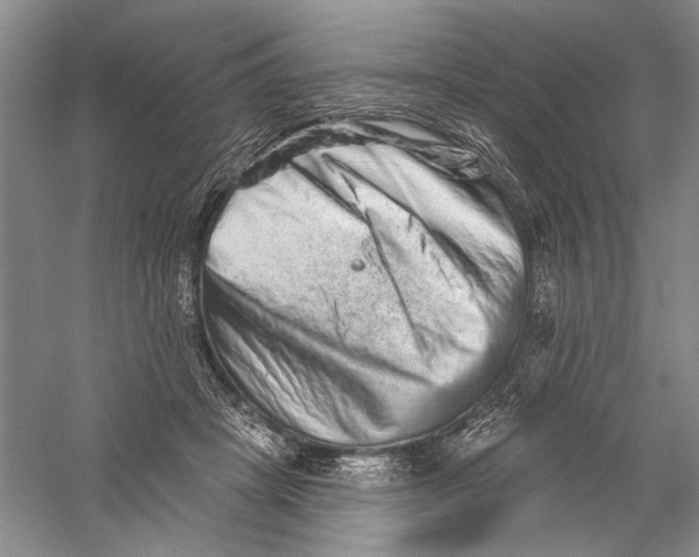 X0000056370457200509232203