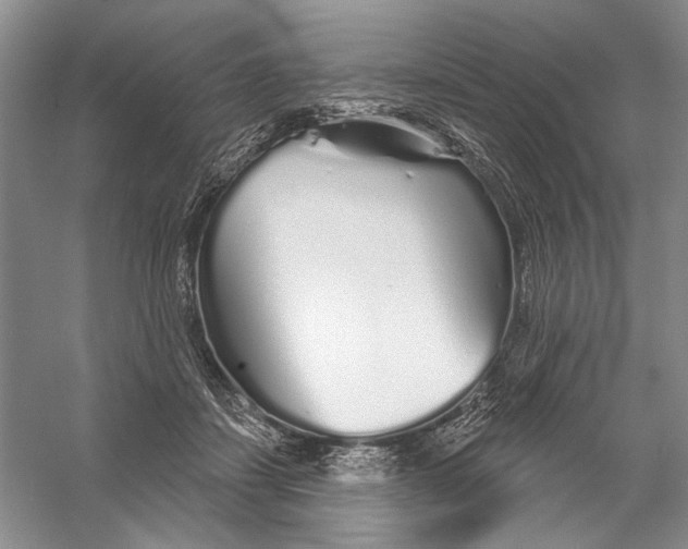 X0000056370459200509232203