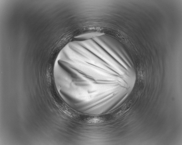 X0000056370460200509232203