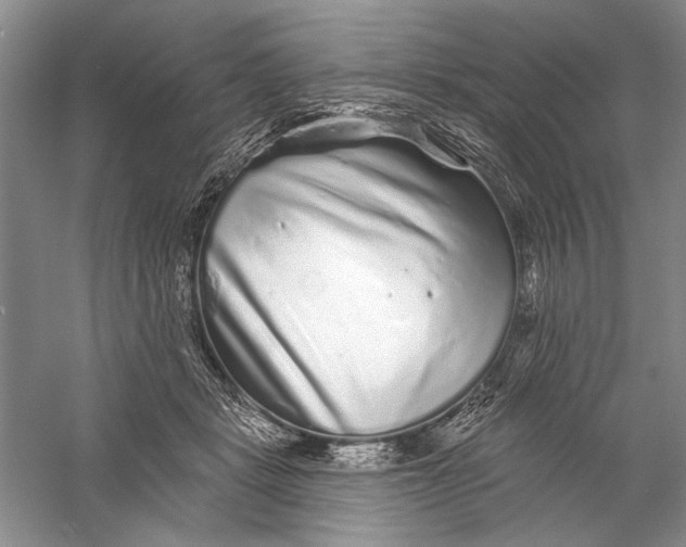X0000056370461200509232203