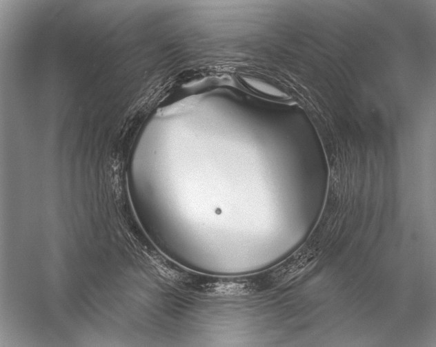 X0000056370462200509232203
