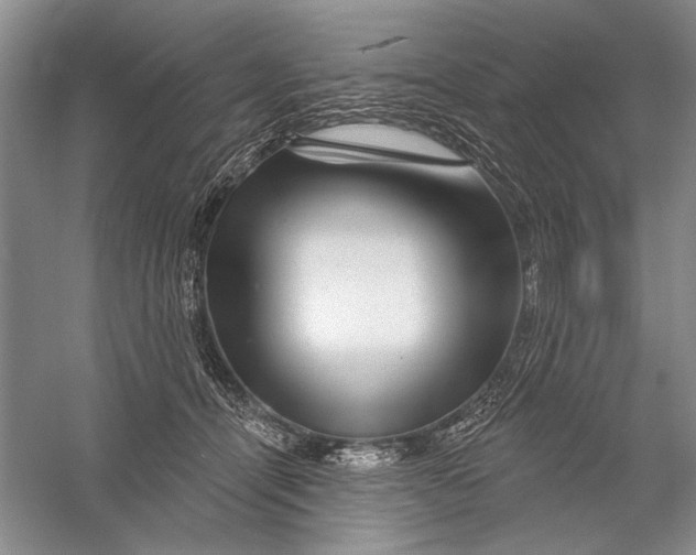 X0000056370464200509232203