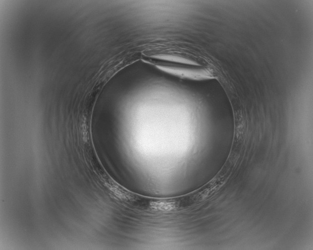 X0000056370469200509232203