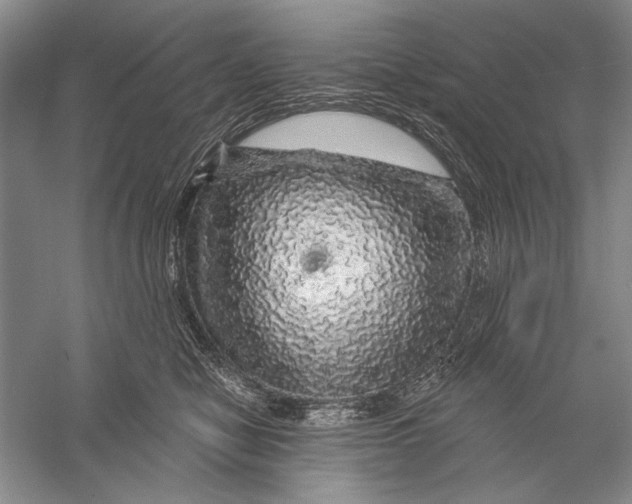 X0000056370470200509232203