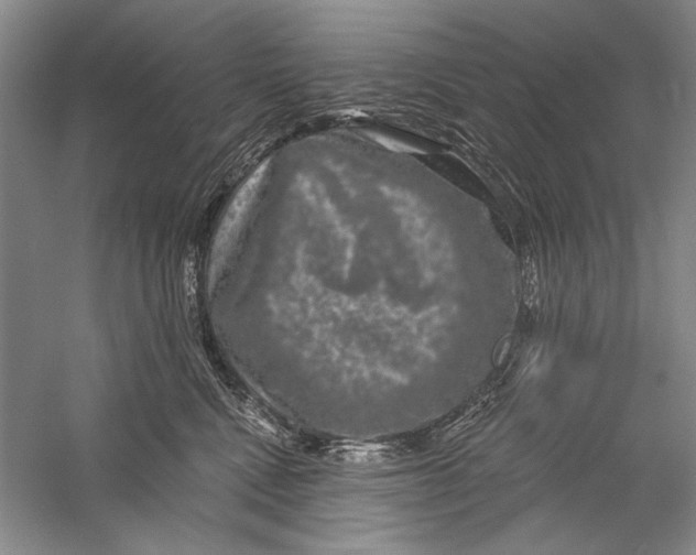 X0000056370472200509232203
