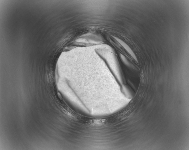 X0000056370474200509232203
