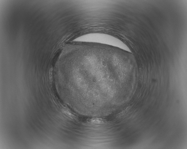X0000056370475200509232203