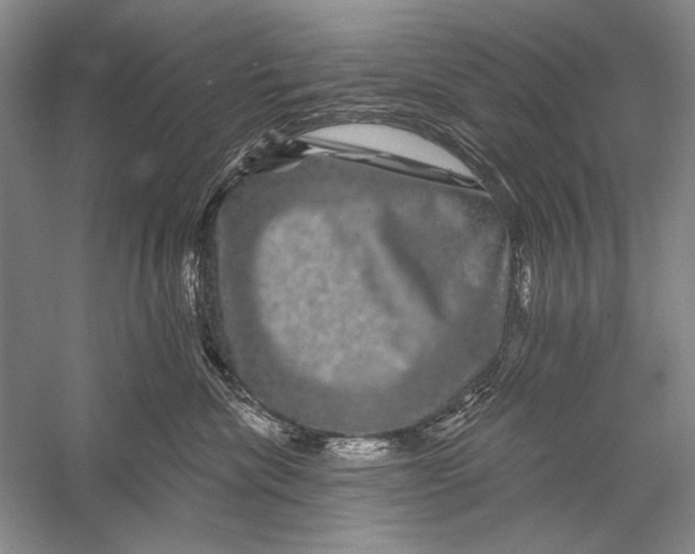 X0000056370476200509232203