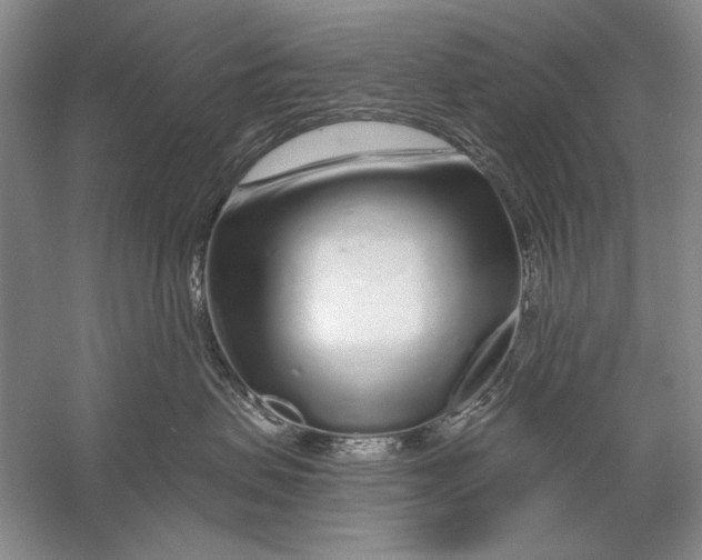 X0000056370479200509232203