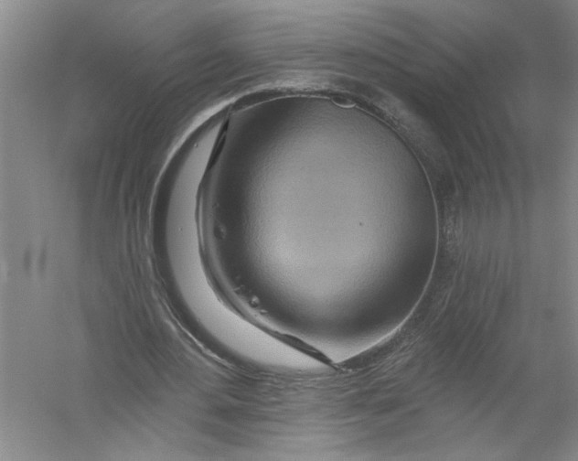 X0000056370484200509232202