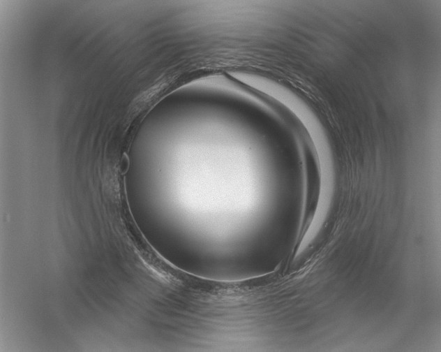 X0000056370489200509232202
