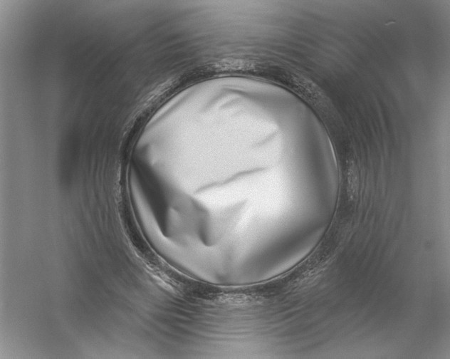 X0000056370490200509232202