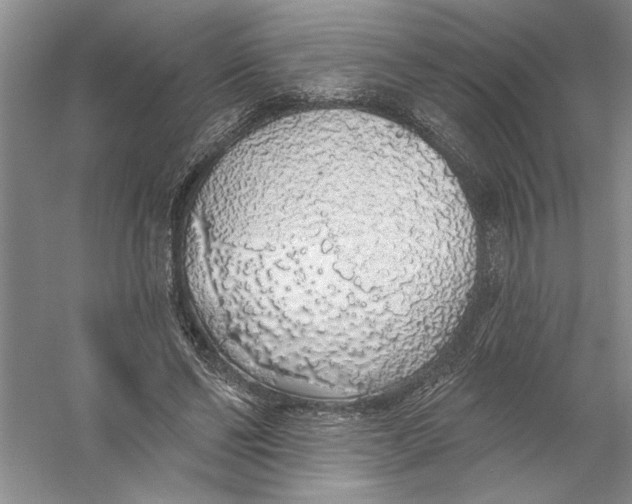 X0000056370494200509232202