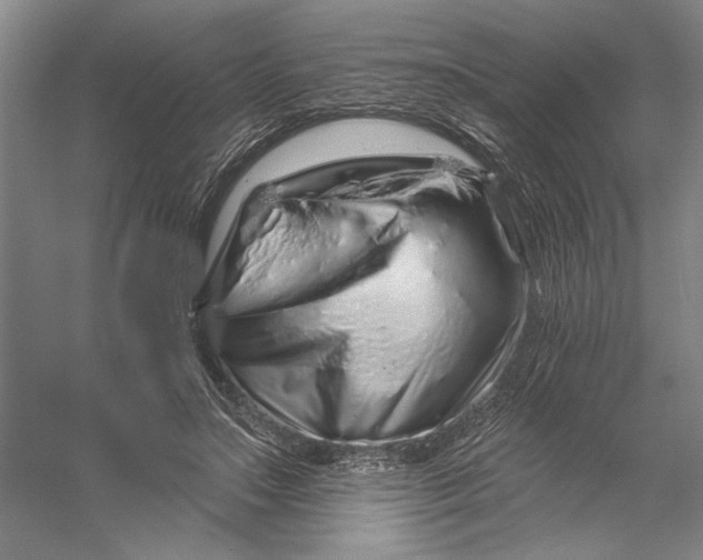 X0000056370499200509232202