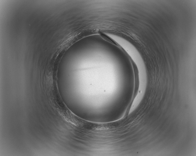 X0000056370500200509232202