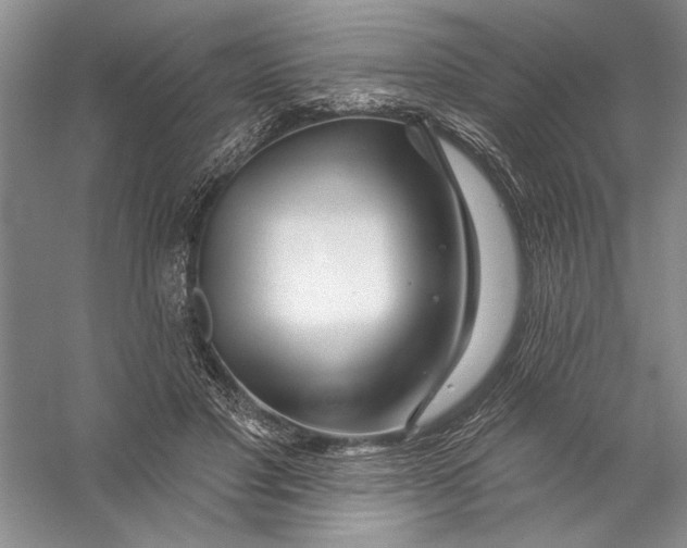 X0000056370501200509232202