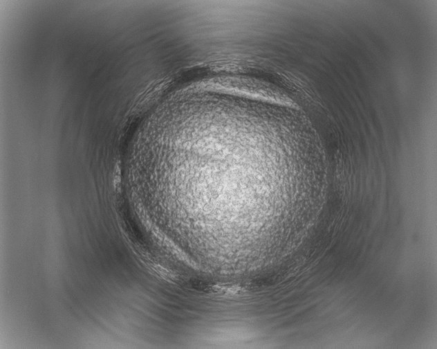 X0000056370502200509232202