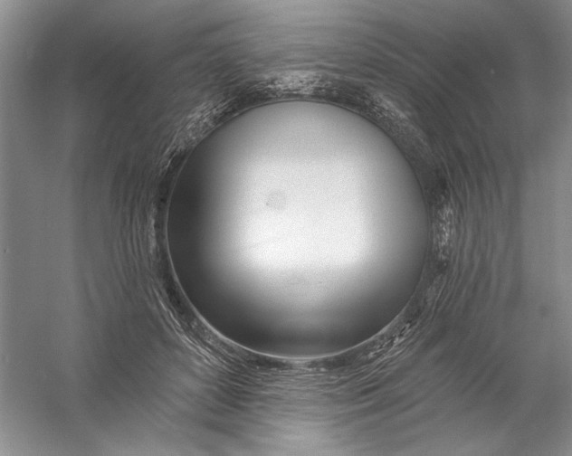 X0000056370504200509232202