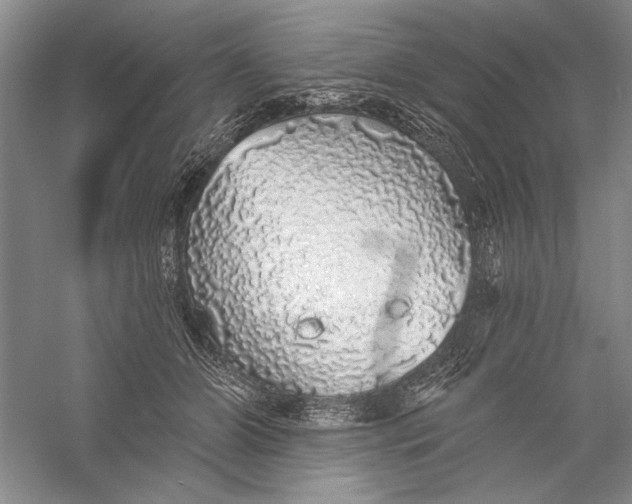 X0000056370510200509232202