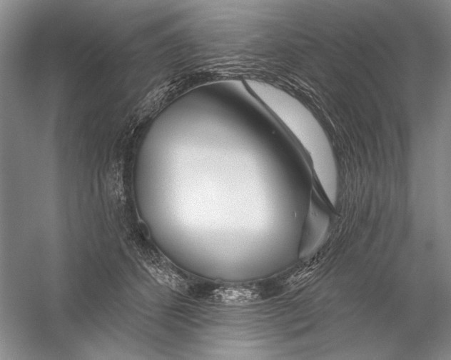 X0000056370512200509232202