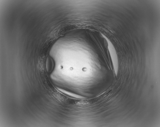 X0000056370515200509232202
